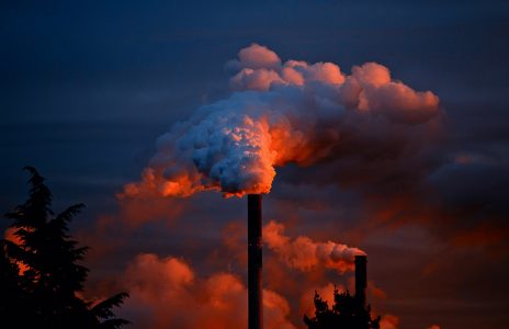 cop 23