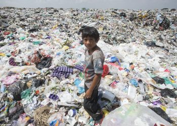 Produzione mondiale di rifiuti: un confronto fra Capitali