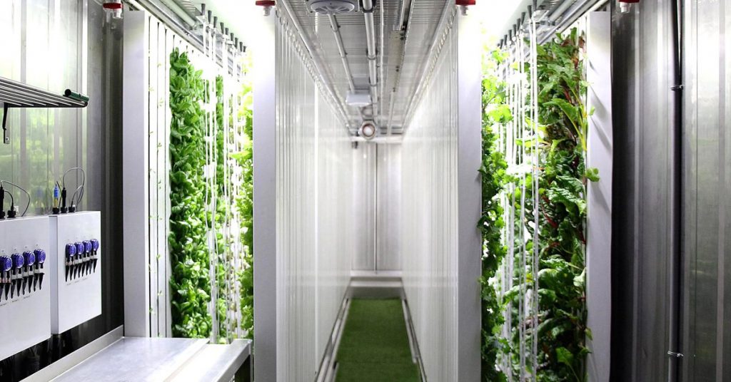 Agricoltura innovativa: giardini idroponici in container dismessi