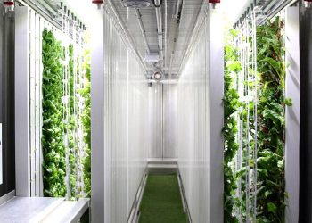 Agricoltura innovativa: giardini idroponici in container dismessi