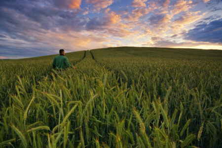bio distretti agricoli