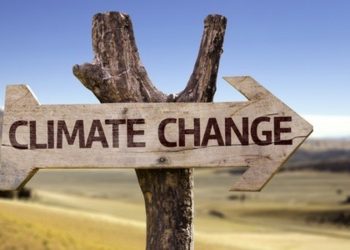 Innovazione contro i cambiamenti climatici: dalla mente di un teenager la possibile soluzione