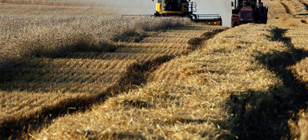 Banca nazionale delle terre agricole