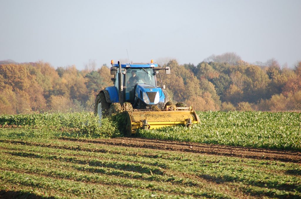 Sequestro del carbonio in agricoltura (foto: www.pixabay.com)