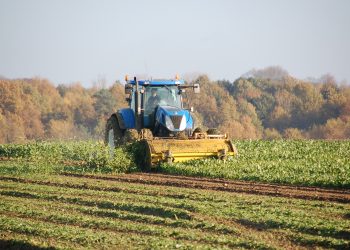 Sequestro del carbonio in agricoltura (foto: www.pixabay.com)