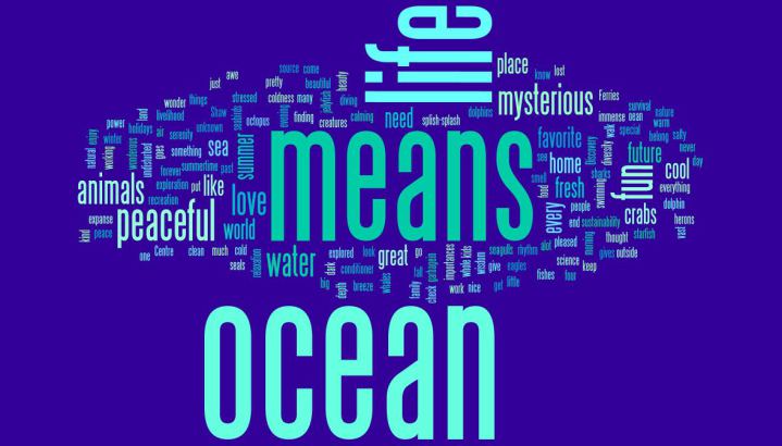 Ocean literacy
