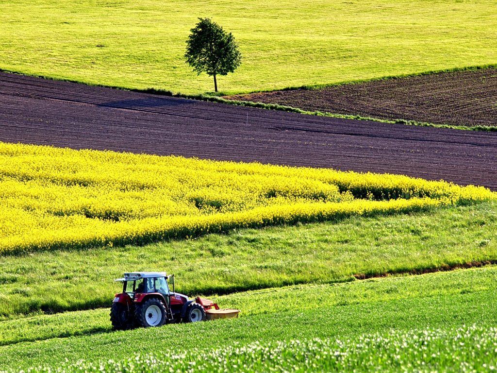 Il sequestro del carbonio in agricoltura (www.pixabay.com)