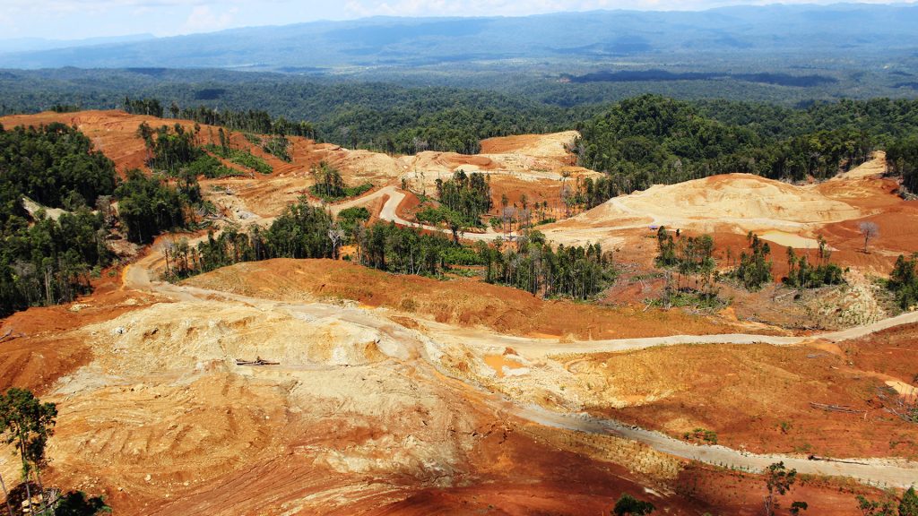 Agricoltura che recupera metalli: la fitoestrazione del nichel