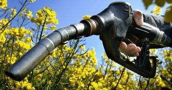 Carburante dagli scarti: biofuel migliore e più sostenibile