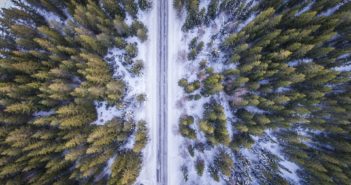 Droni che piantano alberi: la tecnologia che aiuta il pianeta droni che piantano alberi