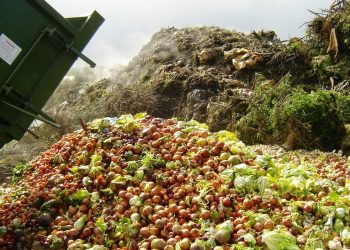 lotta allo spreco alimentare