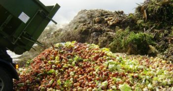 Lotta allo spreco alimentare: numeri e statistiche di un problema mondiale lotta allo spreco alimentare