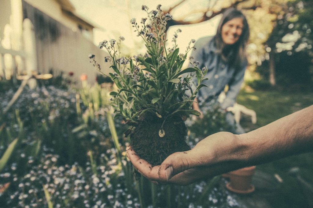 Giardinaggio consigli