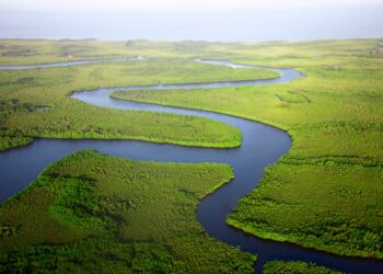 innalzamento del livello dei mari Gambia