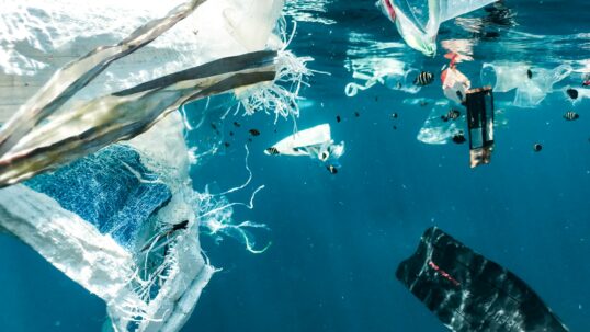 isola plastica