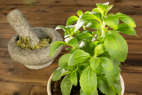 stevia