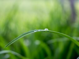 Transizione ecologica
