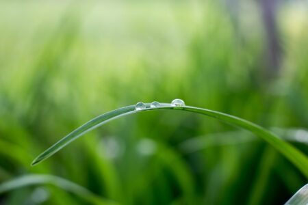 Transizione ecologica