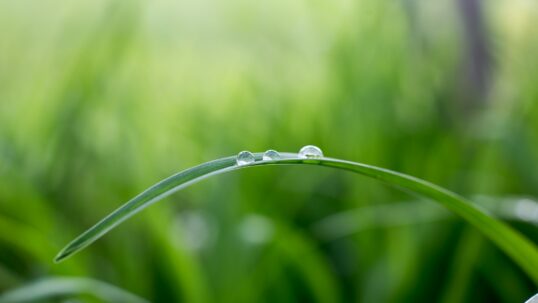 Transizione ecologica
