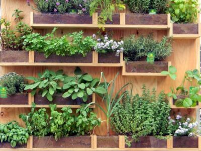 Orto sul balcone