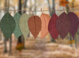 raccolta differenziata dei rifiuti tessili