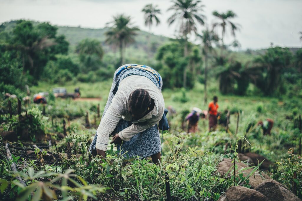 land grabbing