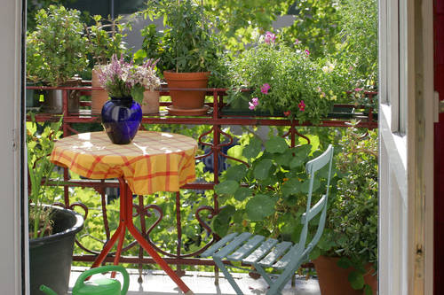 Orto sul balcone fai da te: i nostri consigli! - Donnaflora Garden Center