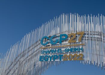 risultati della cop27