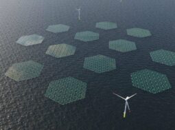 Una centrale solare galleggiante ai piedi dell'eolico offshore