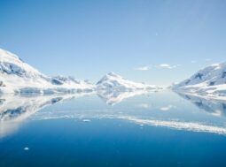Asuperficie ghiacciata in Antartide