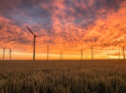 Energia elettrica, più solare ed eolico che gas in Europa nel 2022