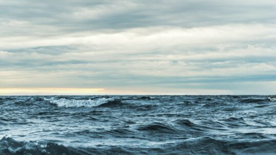 alto mare ONU