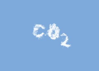 rimozione dell'anidride carbonica dall'atmosfera