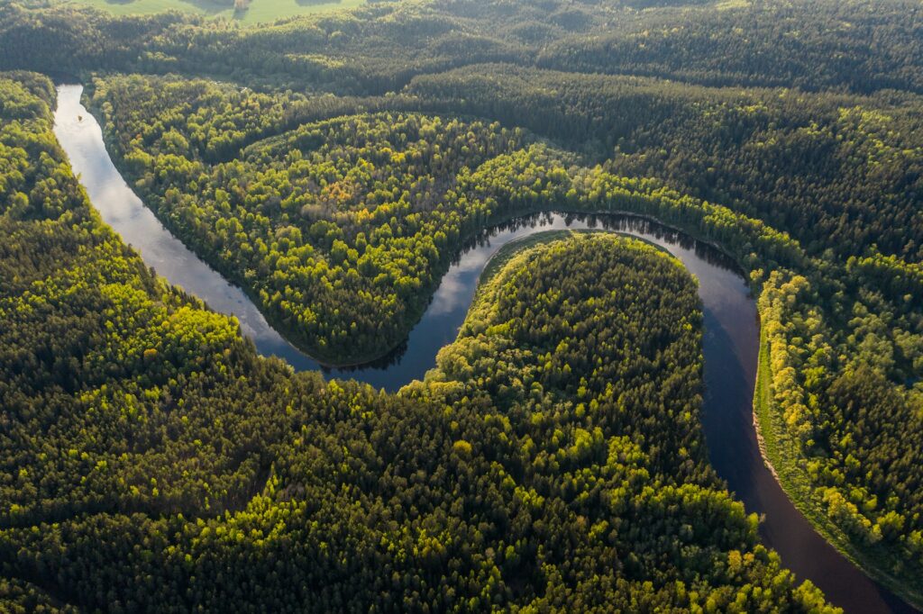 Deforestazione dell'Amazzonia in Brasile