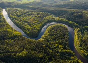 Deforestazione dell'Amazzonia in Brasile