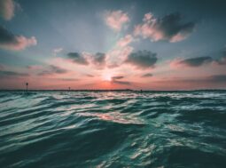 rimuovere anidride carbonica dagli oceani