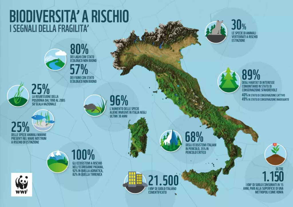 perdita di biodiversità in Italia WWF