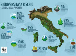 perdita di biodiversità in Italia WWF