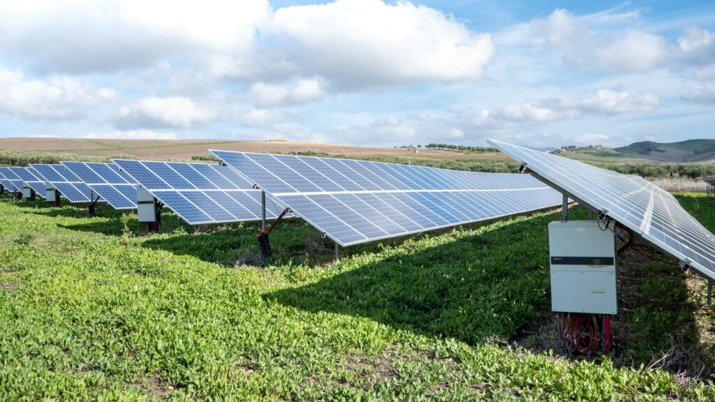 In Sicilia il più grande parco agrivoltaico d'Italia