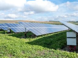 In Sicilia il più grande parco agrivoltaico d'Italia