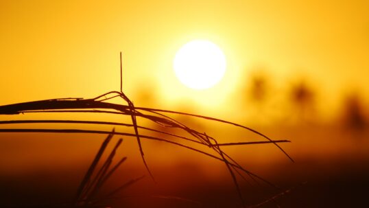 5 anni più caldi di sempre che ci aspettano