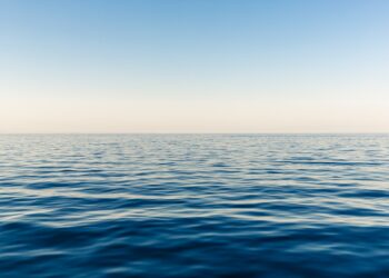 Le temperature di oceani e mari sono sempre più alte: gli impatti