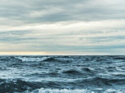sversamento in mare dell'acqua di Fukushima
