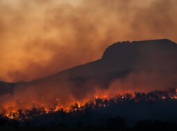 incendi e cambiamenti climatici rapporto