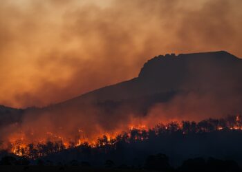 incendi e cambiamenti climatici rapporto