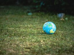 sensibilità climatica