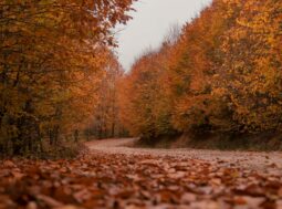 17 novembre 2023: superati i 2 gradi di aumento della temperatura media globale