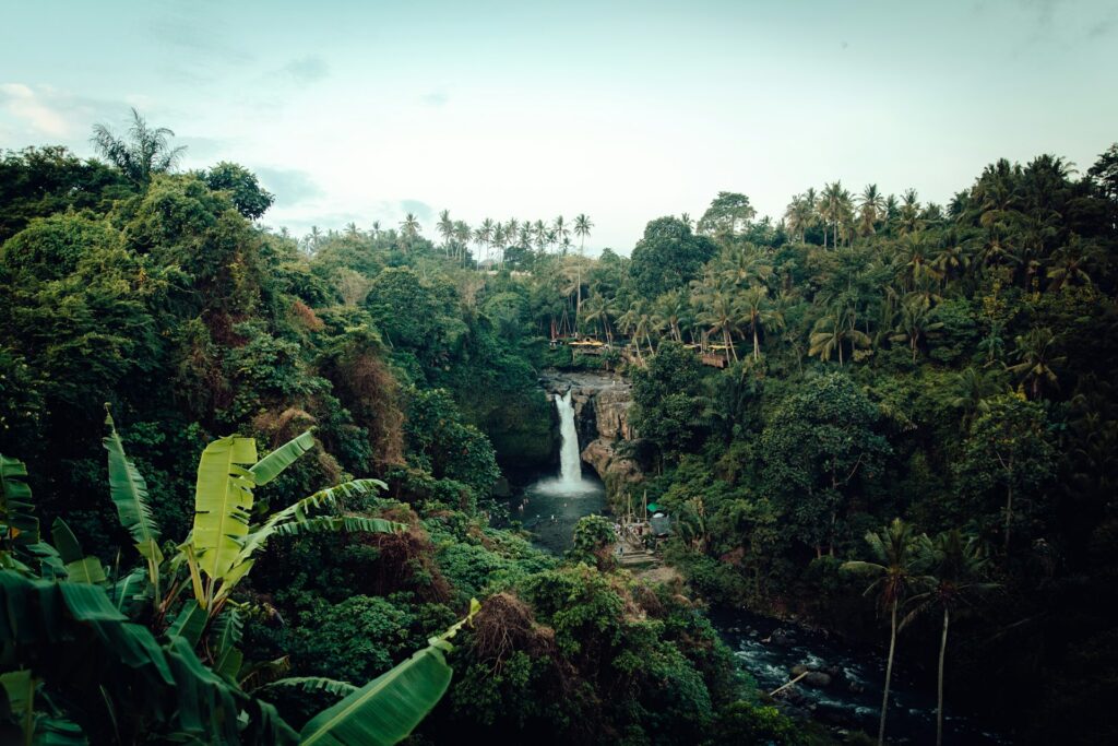 siccità da record in Amazzonia