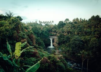 siccità da record in Amazzonia