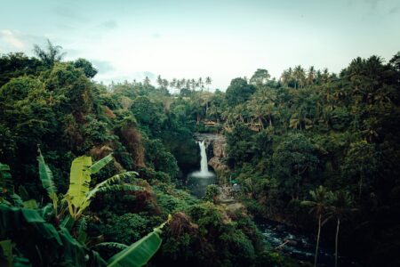 siccità da record in Amazzonia